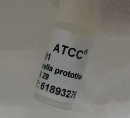 ATCC细胞