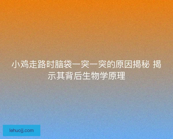 小鸡走路时脑袋一突一突的原因揭秘 揭示其背后生物学原理